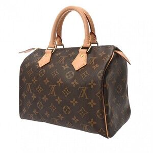 Louis Vuitton Speedy canvas brown handbag Monogram